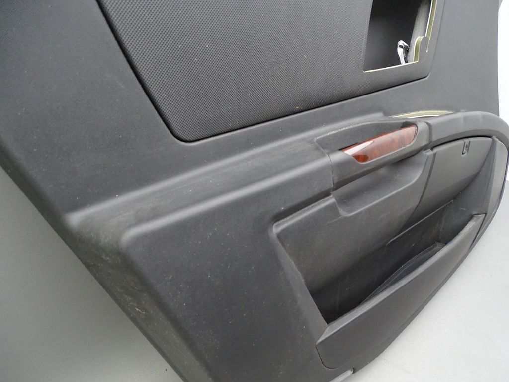 Türverkleidung Vorne Links Schwarz 10385203 07-13 Cadillac SRX Bild 2