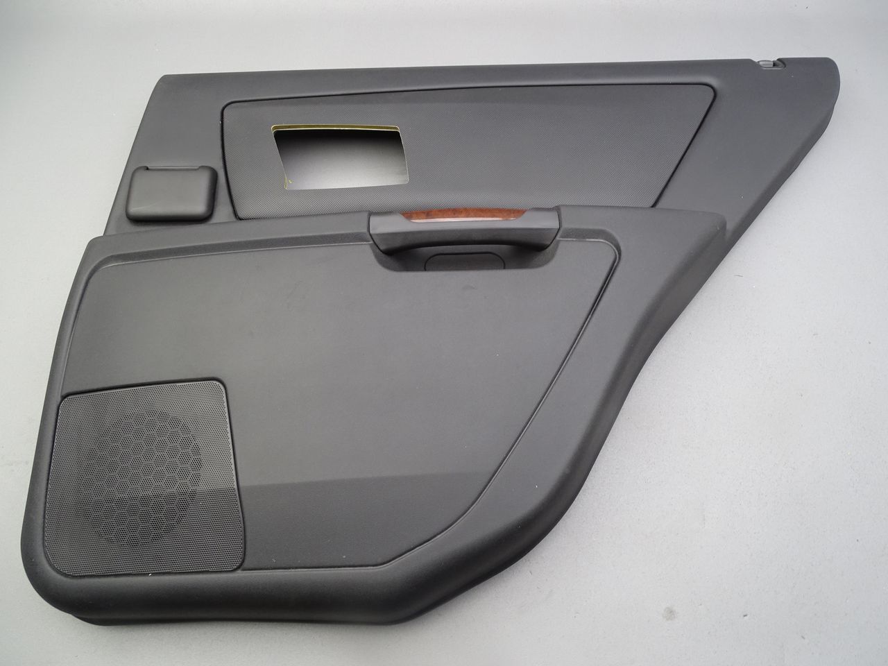 Türverkleidung Hinten Rechts Schwarz 10385253 07-13 Cadillac SRX Bild 1
