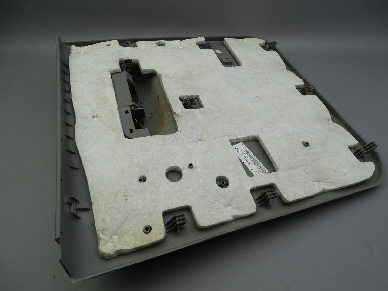 Ford F350 Türverkleidung Hinten Links 5C34-2627407-AE F250 SuperDuty Bild 4