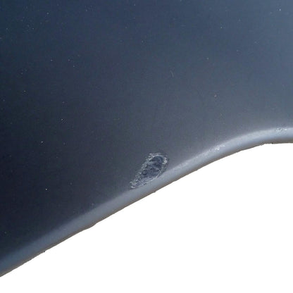 Dodge Viper SRT-10 Coupe Bulkhead Trim Panel Innenraumabdeckung 1BH89DX9AC – Bild 6