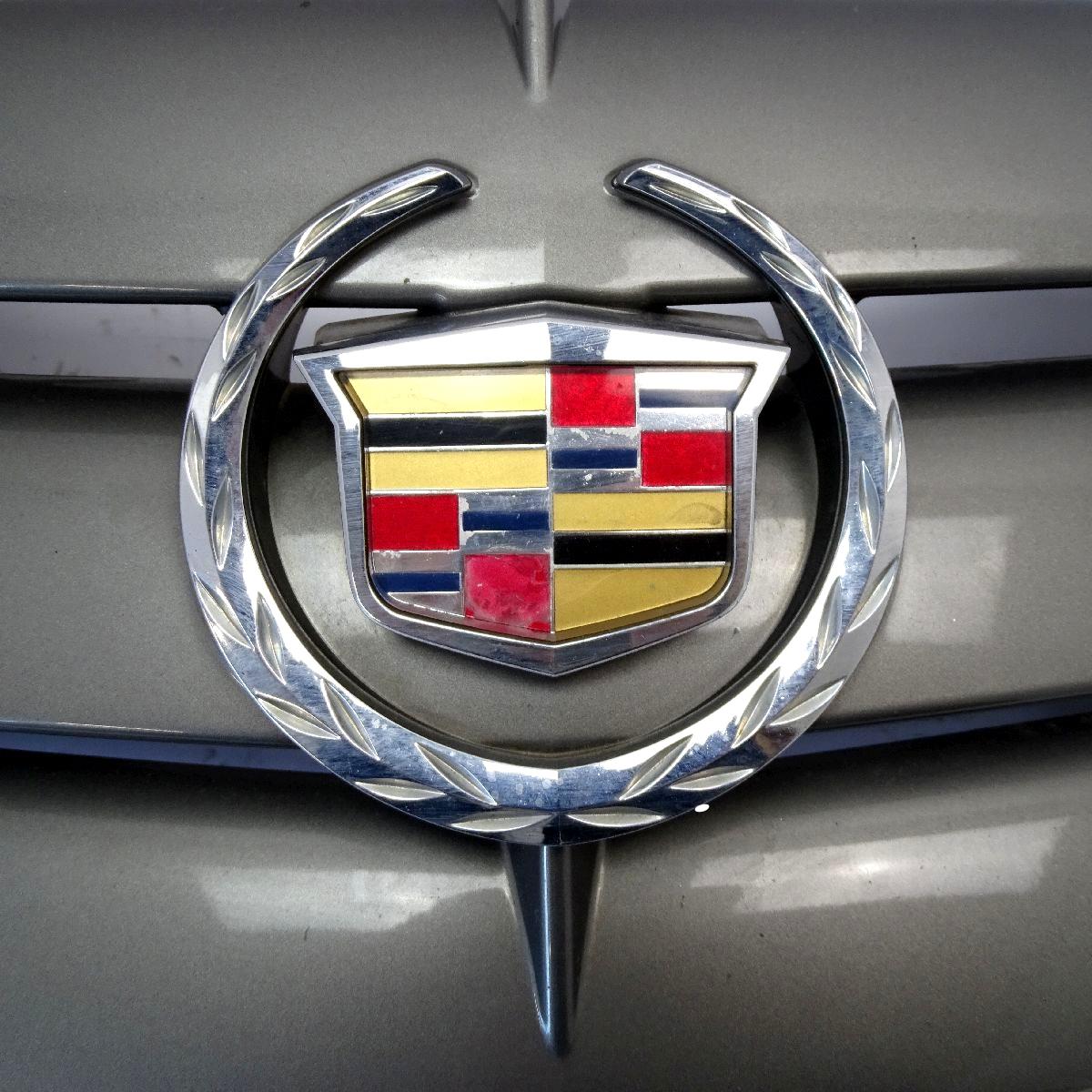 Kühlergrill 25763160 07-13 Cadillac SRX Bild 5