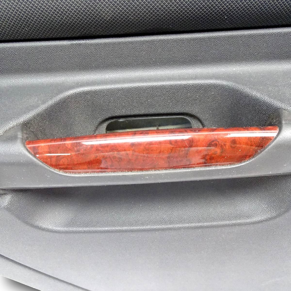 Türverkleidung Hinten Links Schwarz 10385269 07-13 Cadillac SRX Bild 2