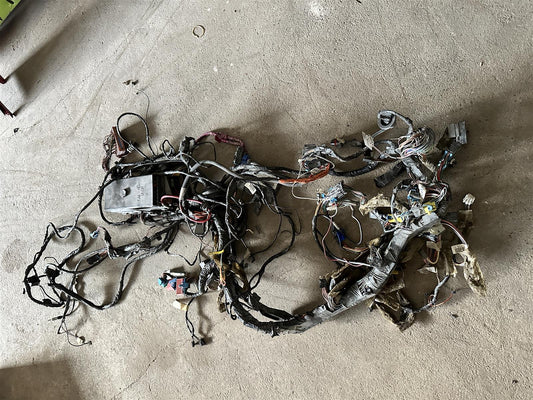 Kabelbaum Innenraum Sicherungskasten 12193791 1997-2004 Corvette C5 5.7L V8 Bild 1