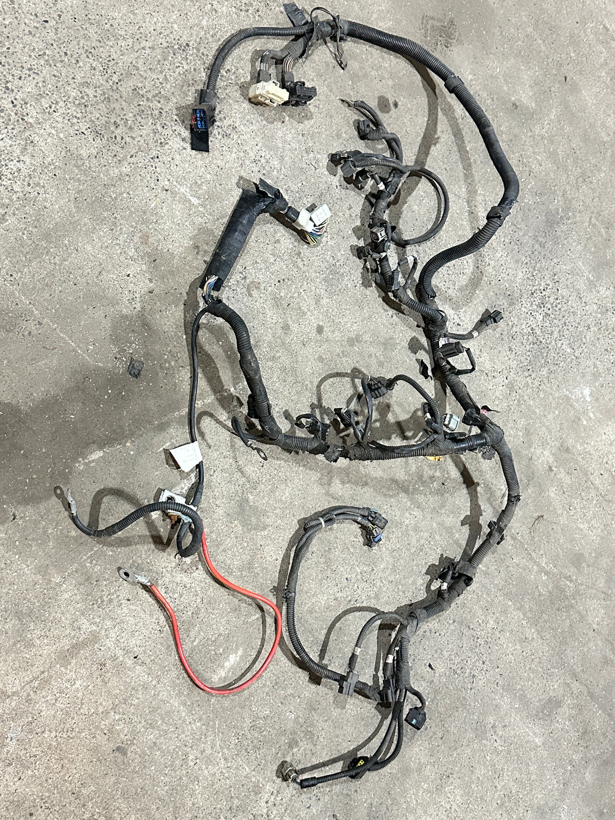 Kabelbaum Motor Motorkabelbaum Wiring-Engine 56049133AD Dodge Dakota SLT 3.9L V6 Bild 1