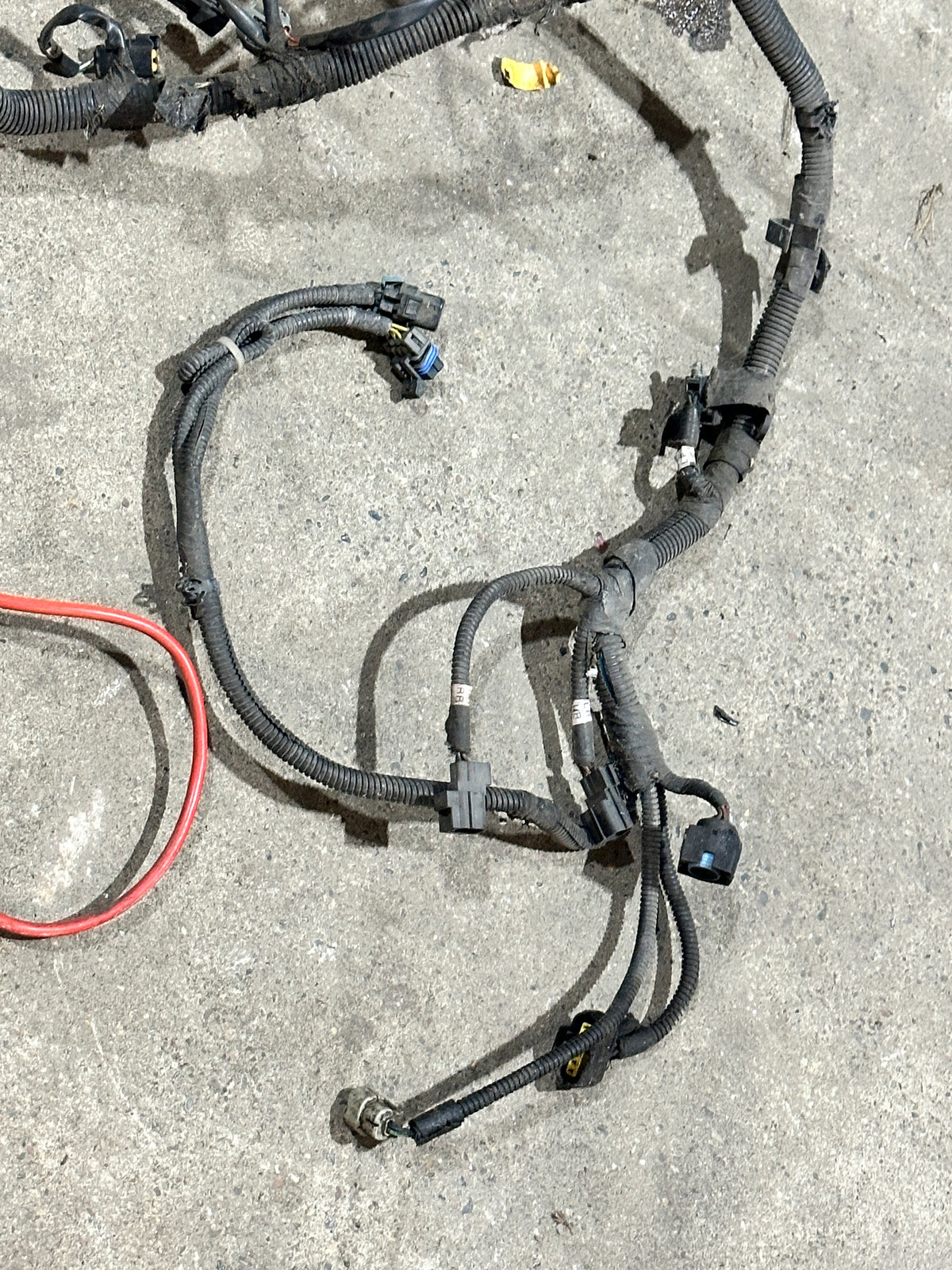 Kabelbaum Motor Motorkabelbaum Wiring-Engine 56049133AD Dodge Dakota SLT 3.9L V6 Bild 2
