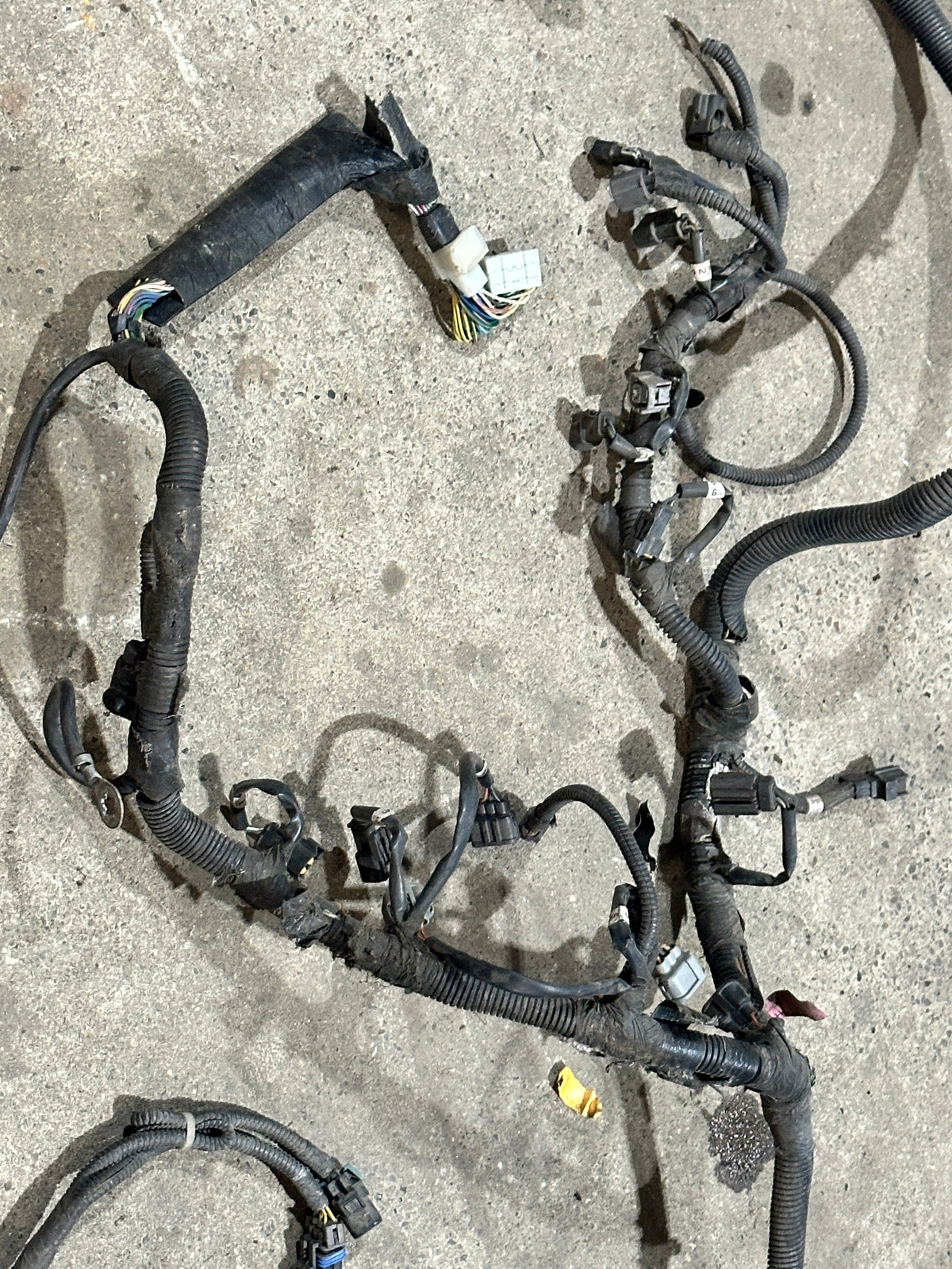 Kabelbaum Motor Motorkabelbaum Wiring-Engine 56049133AD Dodge Dakota SLT 3.9L V6 Bild 3