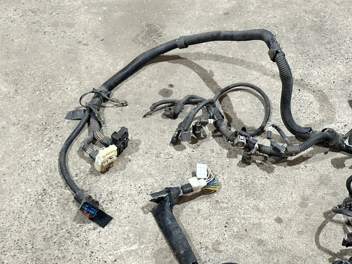 Kabelbaum Motor Motorkabelbaum Wiring-Engine 56049133AD Dodge Dakota SLT 3.9L V6 Bild 4