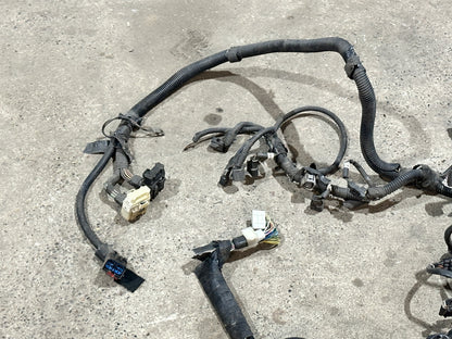 Kabelbaum Motor Motorkabelbaum Wiring-Engine 56049133AD Dodge Dakota SLT 3.9L V6 Bild 4