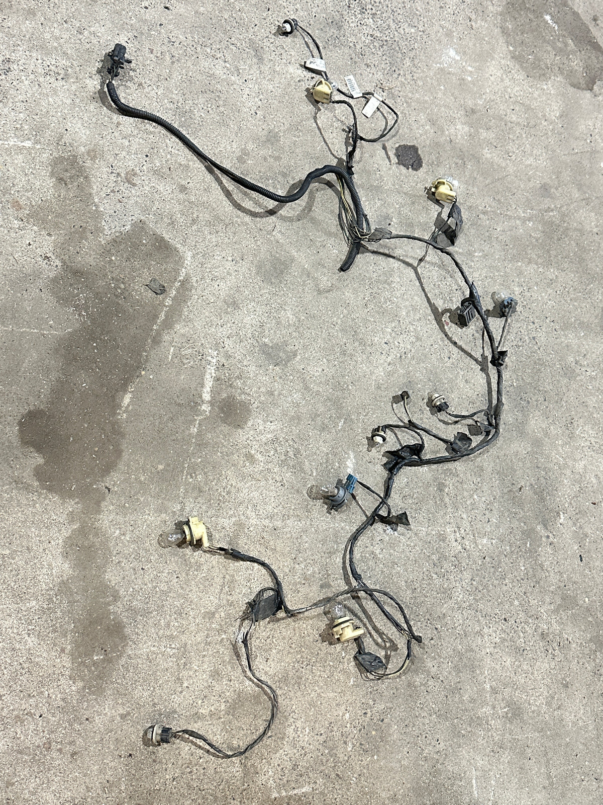 Kabelbaum Hinten Rückleuchten US 1997-2004 Corvette C5 5.7L V8 Bild 1
