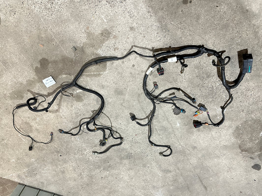 Kabelbaum Vorne Front 15789463 05-13 Corvette C6 6.0L LS2 Bild 1