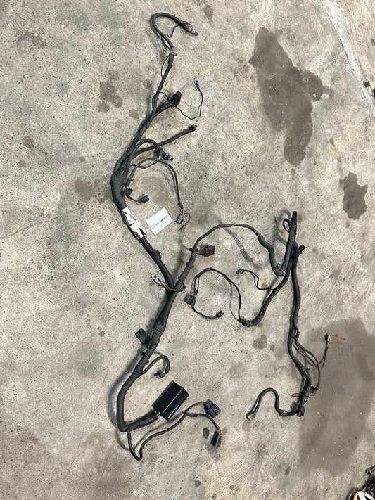 Kabelbaum Vorne Front Harness 05-13 Corvette C6 6.0L LS2 Bild 1